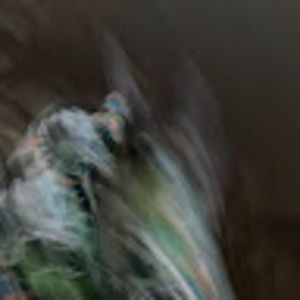 Meet your Posher, Jj shoe